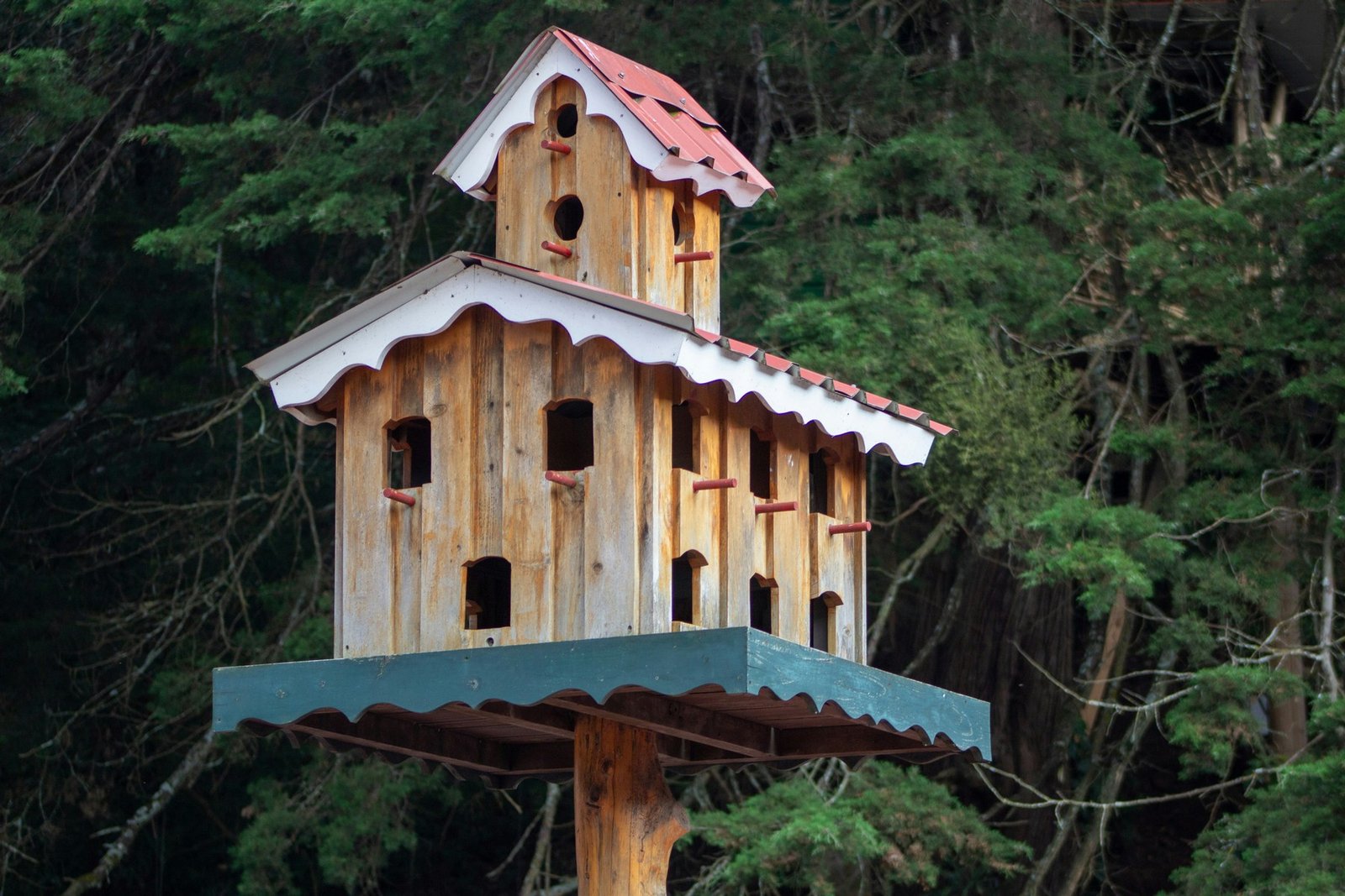 Verwittertes Holz-Vogelhaus mit natürlicher Maserung