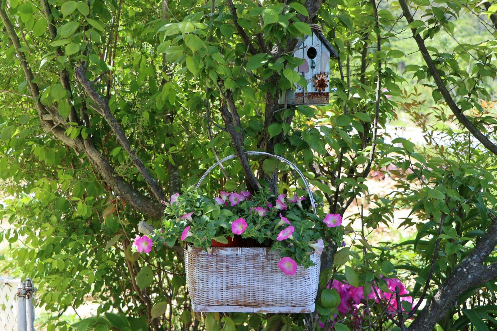 Leerer Nistkasten hängt an einem Baum