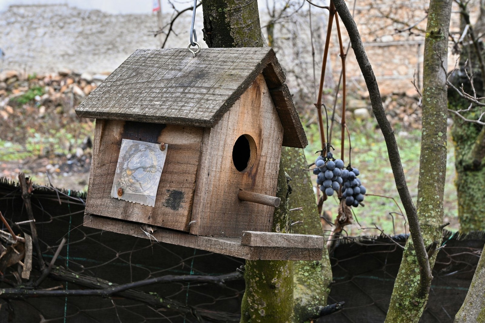 Holznistkasten im Garten in Detailansicht