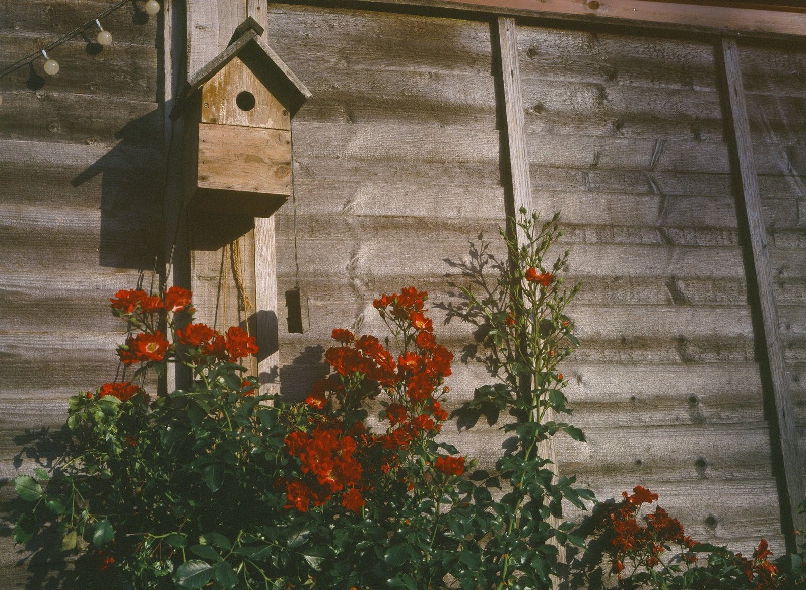 Holznistkasten an einer Gartenwand